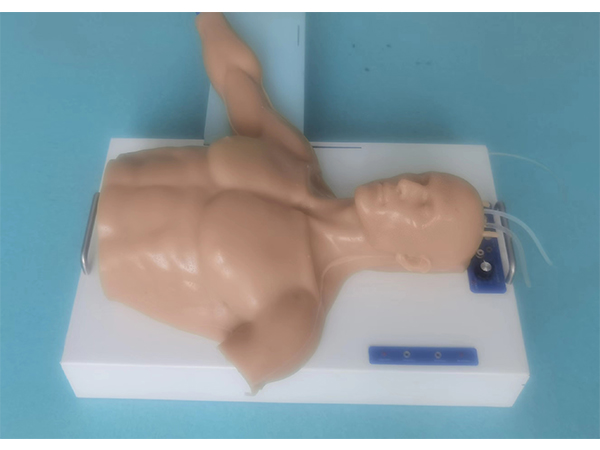 高仿真頸動(dòng)脈、頸外靜脈及PICC、鎖骨下靜脈穿刺、置管綜合練習(xí)模型