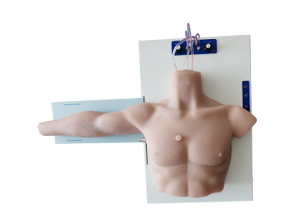 高仿真經(jīng)外周中心靜脈 （PICC）穿刺置管練習(xí)、考試模型